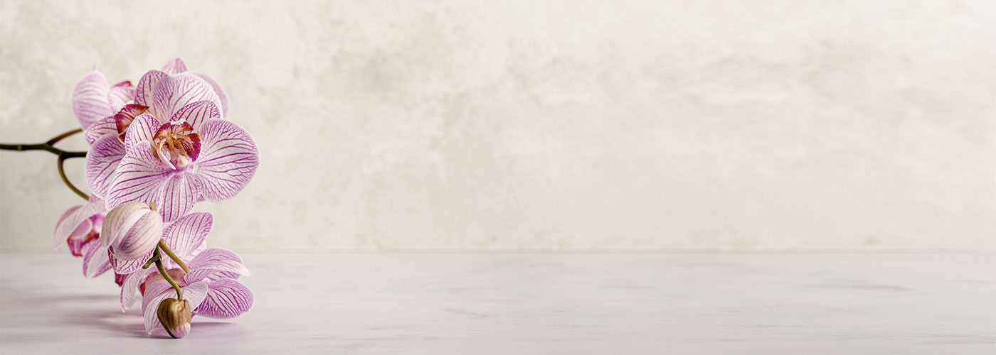 تجمعات-قرآنية–slider-3